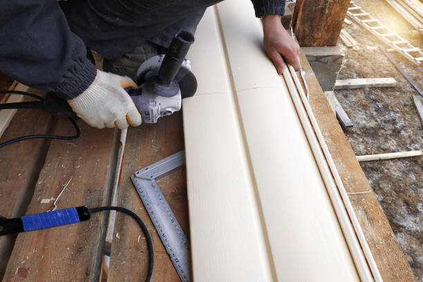 Best Steel Siding Installation  in Safford, AZ