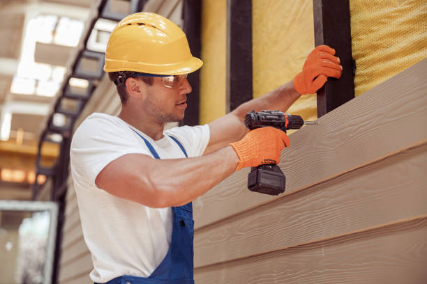 Best Vinyl Siding Installation  in Safford, AZ
