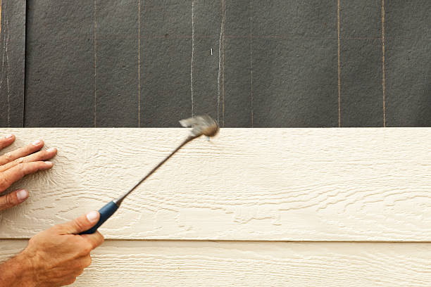 Best Siding Repair  in Safford, AZ